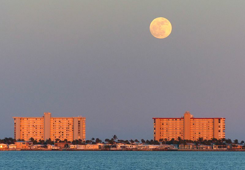 Click to See Next Image